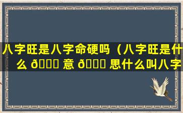 八字旺是八字命硬吗（八字旺是什么 🐟 意 🐟 思什么叫八字）